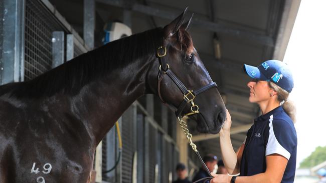 Jess Halsted from the Kia Ora stables. Photo: Scott Powick.