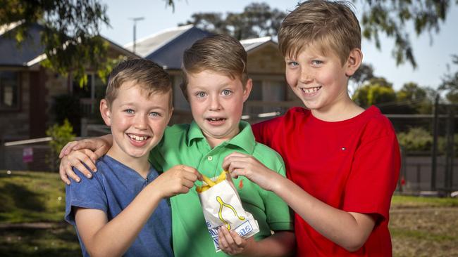 Mitchell, 9, Cameron, 7, and Seb, 9, enjoying the hot chips from the Golden Wishbone in Mitchell Park. Picture Emma Brasier.