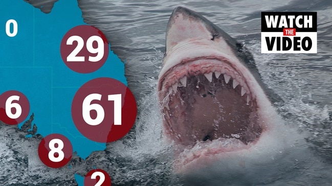 deadliest shark attacks