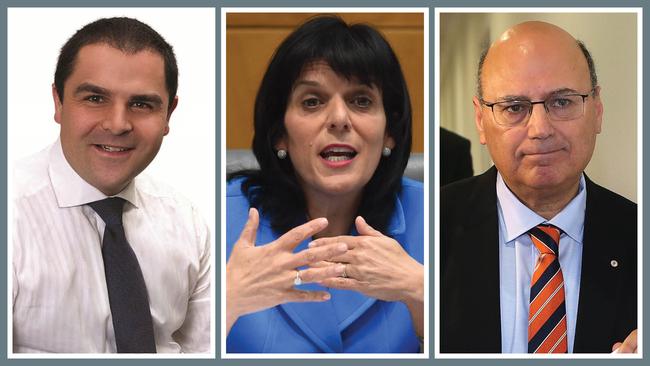 Liberals with questionable citizenship statuses: Tony Pasin, Julia Banks and Arthur Sinodinos.