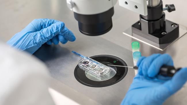 The free IVF move comes into effect from January 2020. Picture: iStock