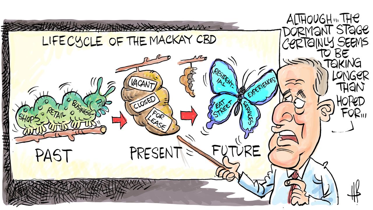 Harry Bruce's take on plans to revive the Mackay CBD. Today's Harry Bruce cartoon has been brought to you by Dawson MP George Christensen. George is a proud supporter of free speech and the ability of our cartoonists to take the mickey out of the political class.