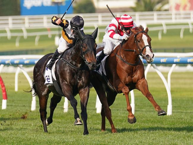 Dashing ridden by Craig Newitt wins the ive > Handicap at Caulfield Racecourse on May 04, 2024 in Caulfield, Australia. (Photo by Scott Barbour/Racing Photos via Getty Images)