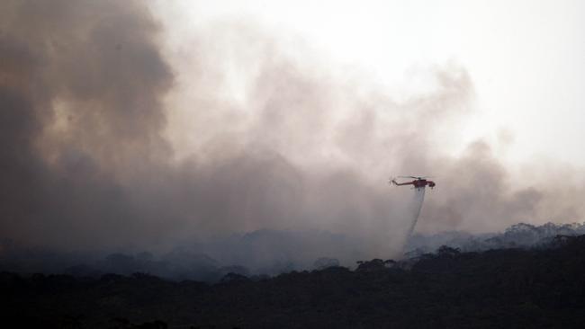 A photo from a previous bushfire burning in the Ku-ring-gai National Park.