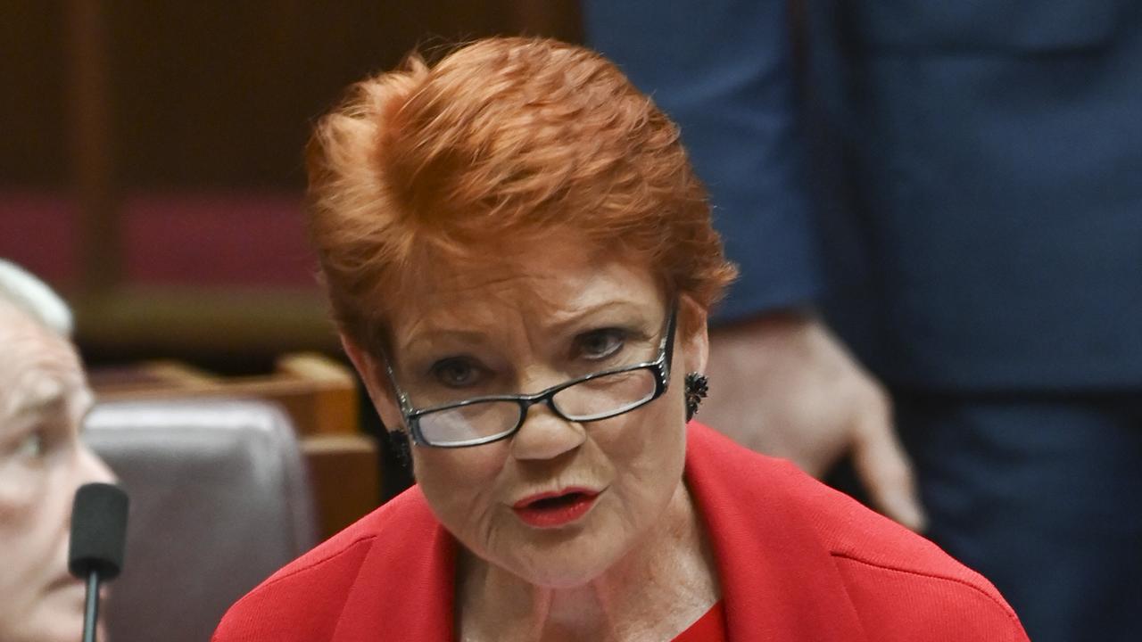 An offensive tweet by Pauline Hanson condemning a Muslim senator echoed a racist history of telling migrant peoples to “go back home”, a court has been told. Picture: Martin Ollman