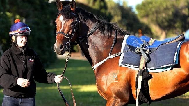 Emily Murphy with trainer Murray Baker's stable star It's a Dundeel. Picture: Wayne Ludbey