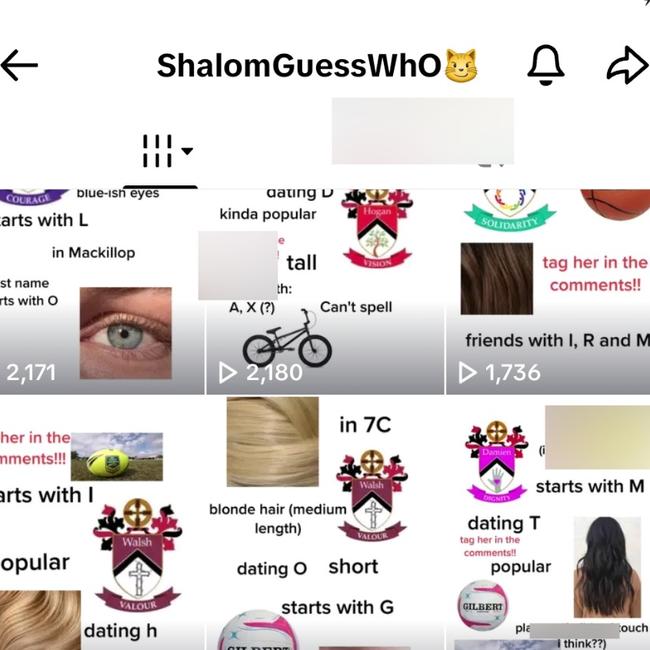 Some ‘guess who’ accounts are viewed by thousands of people on social media. Picture: TikTok