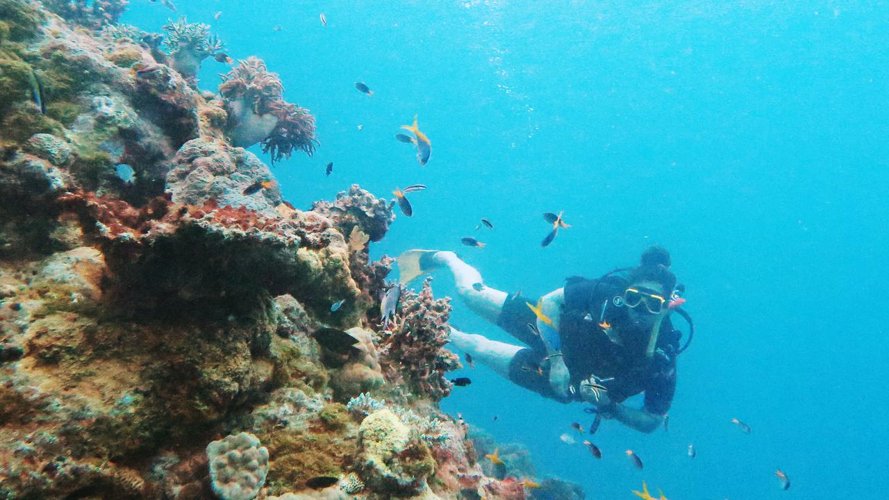 The $1bn announcement will go towards protecting the life of the reef. Picture: Brendan Radke