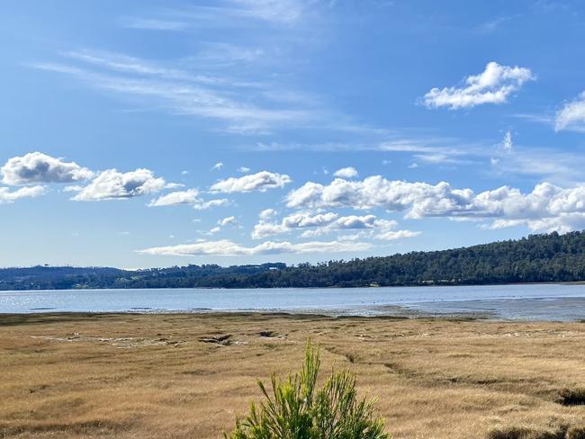 Tasmania's Tamar Valley is "empty" after native swans have been killed in the area. Picture: Twitter@j_d_mclaine