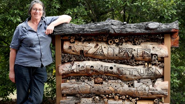 Native bee researcher Katja Hogendoorn with the native bee hotel near Urrbrae House. Picture: Calum Robertson