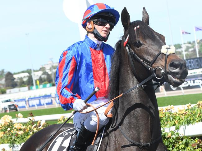 MELBOURNE, AUSTRALIA - NOVEMBER 03: Jockey Jamie Kah riding Prince Of Arran before finishing third in Race 7, the Lexus Melbourne Cup,  during 2020 Lexus Melbourne Cup Day at Flemington Racecourse on November 03, 2020 in Melbourne, Australia. (Photo by Vince Caligiuri/Getty Images for the VRC)