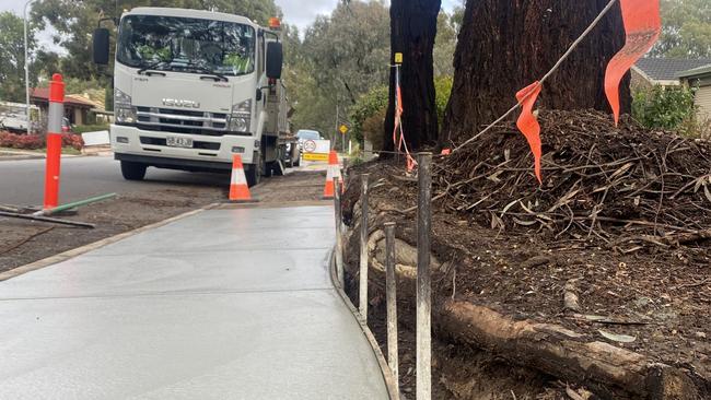 A red ironbark tree at Wynn Vale has left residents Jayne and Garry Kelly at odds, with its roots slowly destroying their home. Picture: Brinley Duggan