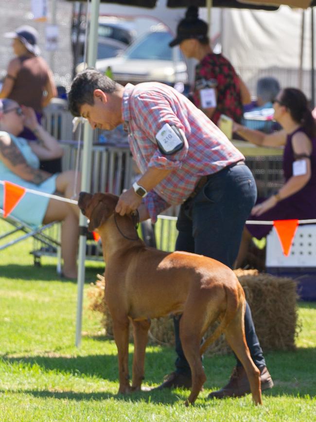 The dog show was one of the attractions in the main ring for guests.