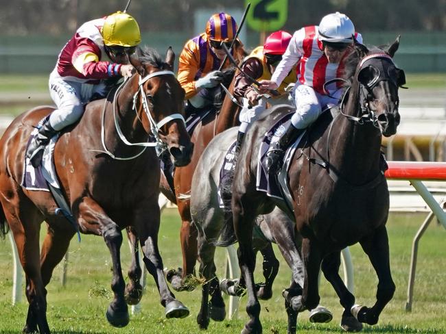 William Pike and Top Of The Range (right) surge to the front in the Bendigo Cup.