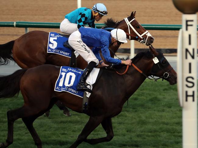 TOPSHOT - Jockey James Doyle rides Jungle Cat (R) as he crosses the finish line to win the  Al Quoz Sprint horse race at the Dubai World Cup in the Meydan Racecourse on March 31, 2018 in Dubai. / AFP PHOTO / KARIM SAHIB