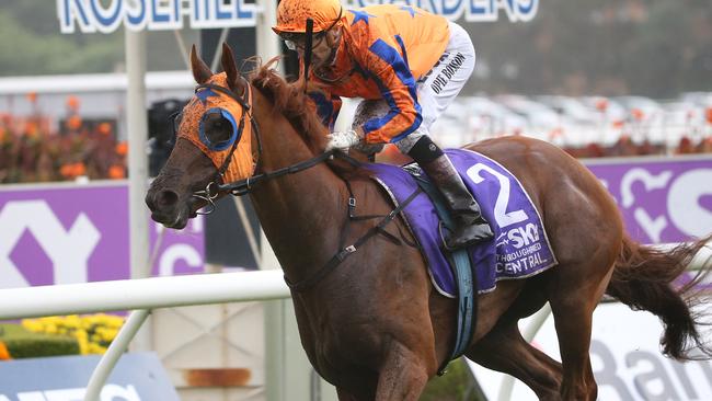 Gingernuts takes out the Rosehill Guineas race in March last year. Picture: AAP