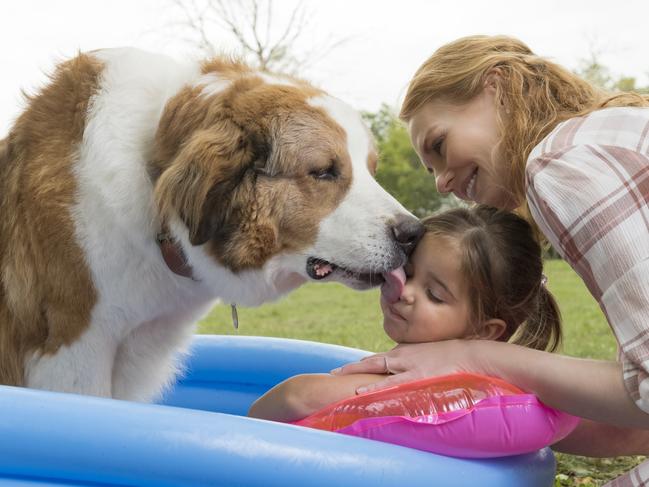 Emma Volk and Marg Helgenberger in A Dog's Journey.