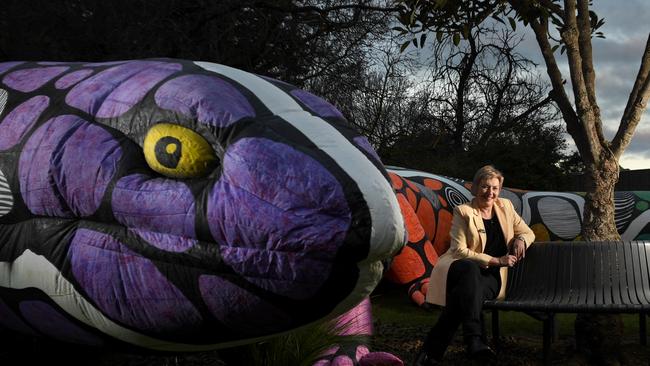 Zoos SA Chief Executive Elaine Bensted at Adelaide Zoo in the lead up to Light Creatures. Picture: Tricia Watkinson