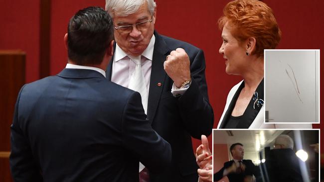 Senators Burston, Hanson and Peter Georgiou in the senate in 2017. The aftermath of staffer James Ashby’s scuffle with Senator Burston inset.