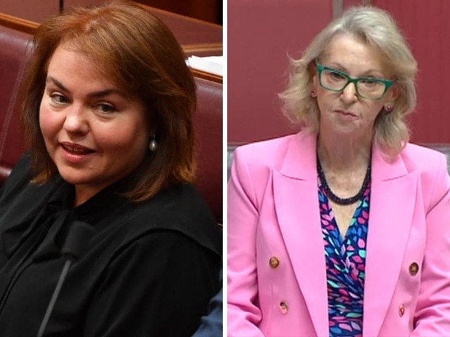 Tasmanian Labor Senator Hellen Polley breaks ranks over ‘mean girls’ allegations.