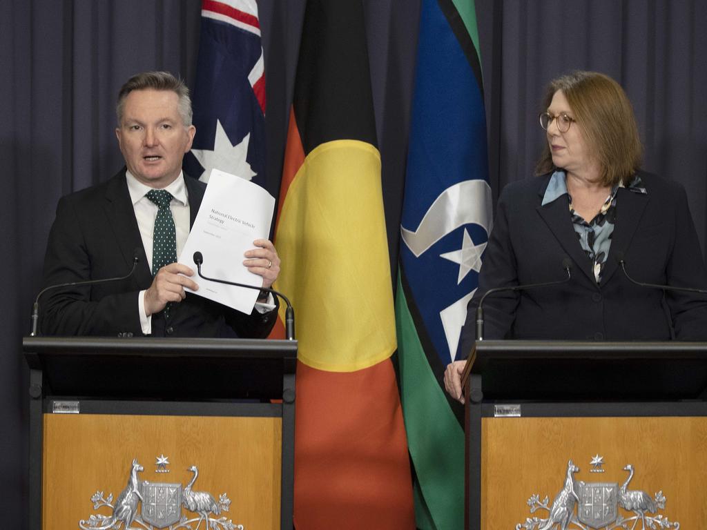 Chris Bowen and Catherine King. Picture: Gary Ramage/NCA NewsWire