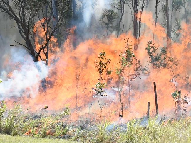 Bushfire in scrub at the end of Searle St in Maryborough. Firefighters backburn long grass behind the Ergon depot to contain the fire.