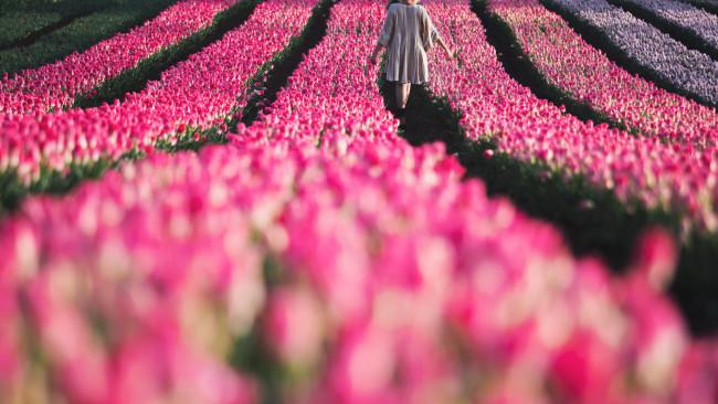 5/71Table Cape Tulip Farm, Table Cape - Tasmania
Tiptoe among the tulips at this highly Instagrammable flower farm. Picture: Lauren Bath / Tourism Tasmania