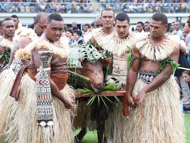 Traditional Fijian men carry a roasted pig in Albert Park waiting the arrival of Prince Harry and Meghan Markle. Picture: Chris Jackson/Getty Images