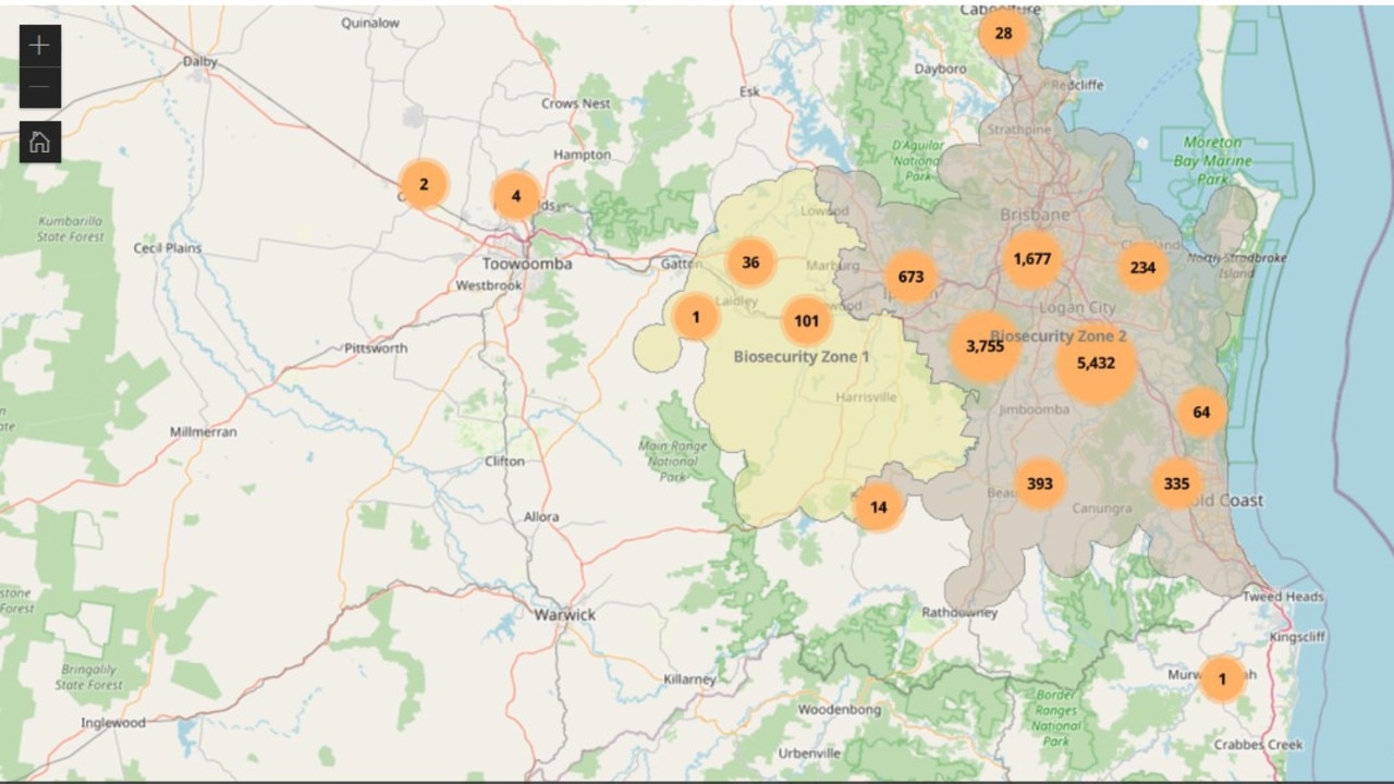 Fire ant map in Queensland. May 17, 2024.