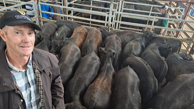 Michael Coffey, Coffey Partnership near Port Fairy, received the top price of $1518 at Hamilton today after his feature run of EU-accredited Angus steers sold to 356c/kg for liveweight for 424kg.