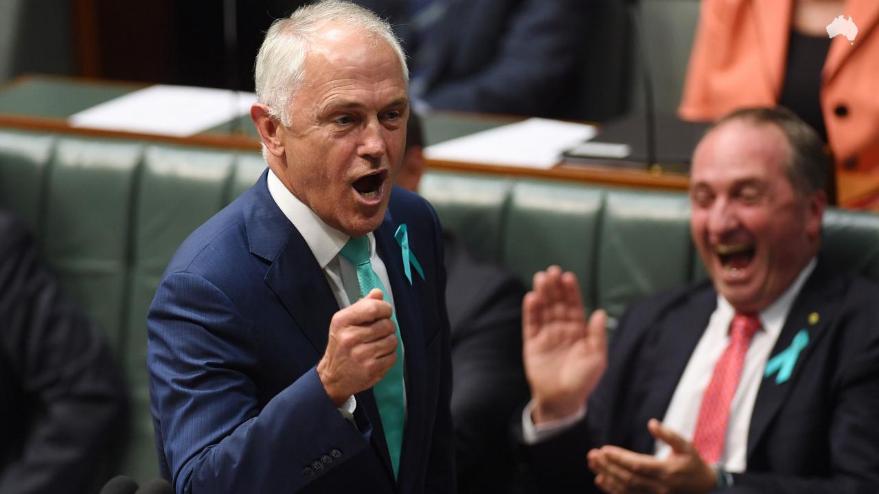 Turnbull smacks down Shorten