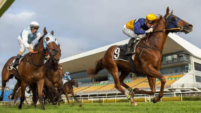 Stuttering scored an impressive win at Doomben. Picture: AAP