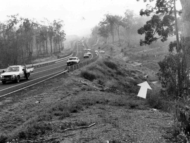 The mutilated body of 15-year-old Janet Phillips was dumped on Gateway Arterial Rd near the Brisbane suburb of Wynnum.