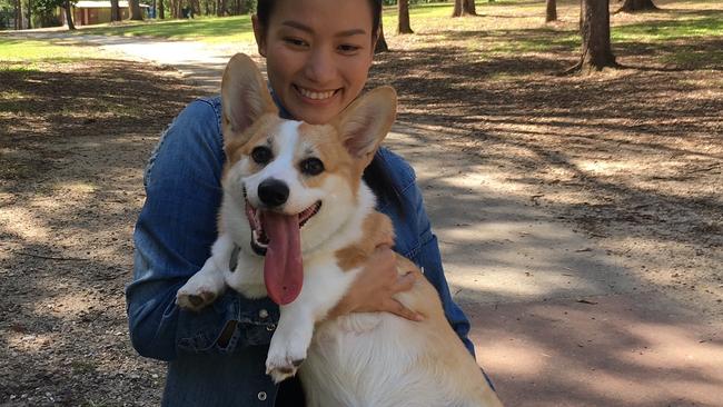 Missing Haku the corgi with owner Carmen Pham