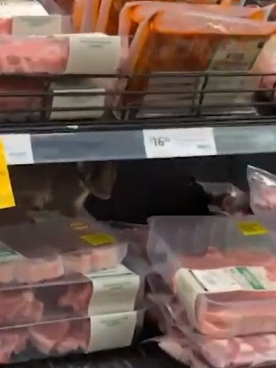 Shocking discovery in Coles meat section. Picture: Supplied.