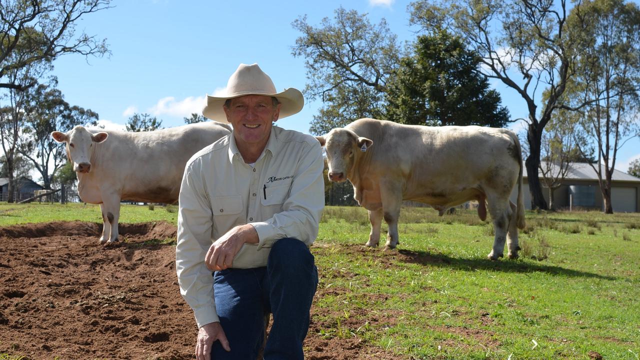 Ascot Cattle Company principal Jim Wedge said this season’s regular rainfall has been a positive for his pasture. Photo: NRM