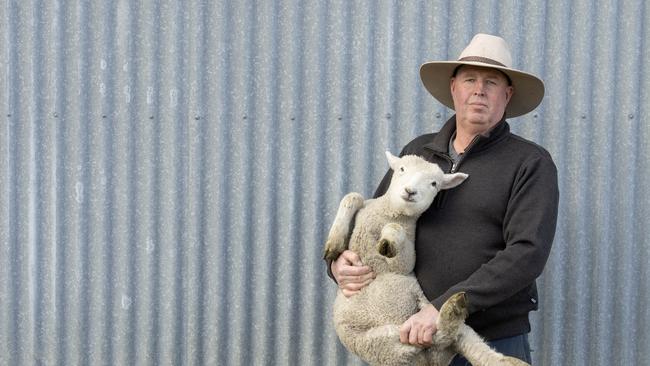 VFF livestock president Scott Young. Picture: Zoe Phillips