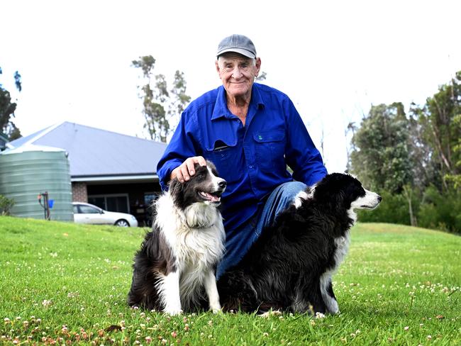 Frank Condello with his dogs Bear and Georgie at their Yatte Yattah property in the Shoalhaven area. Frank’s home and nursery were destroyed during the Black Summer Bushfires – but most heartbreaking of all was the loss of his border collie Ryder. Picture: Jeremy Piper