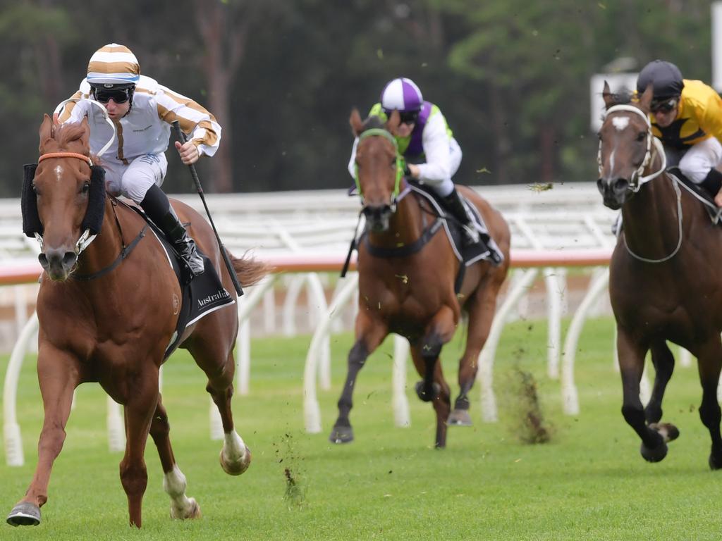 Magic Millions Classic 2019: Girls Are Ready; Heart Conquered | News ...