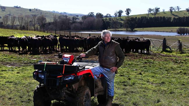 ‘I’ve had people clamouring to buy my eight or nine-year-old cows,’ says NSW central-west beef producer Graham Whitehead. Picture: Jane Dempster