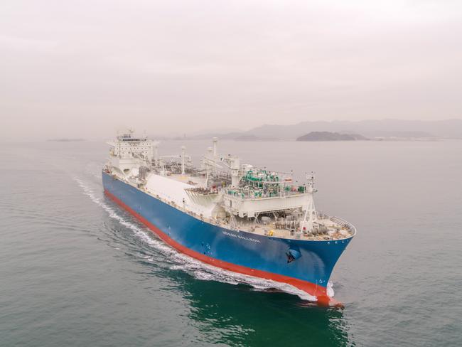 Twiggy targets first LNG imports by 2023