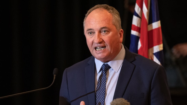 Barnaby Joyce's animated pitch to regional Australians