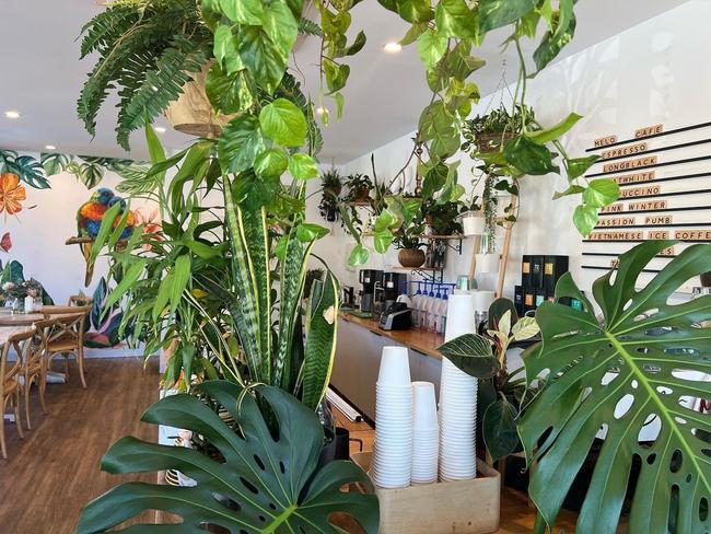 Melo Cafe surrounded by plants. Picture: Facebook