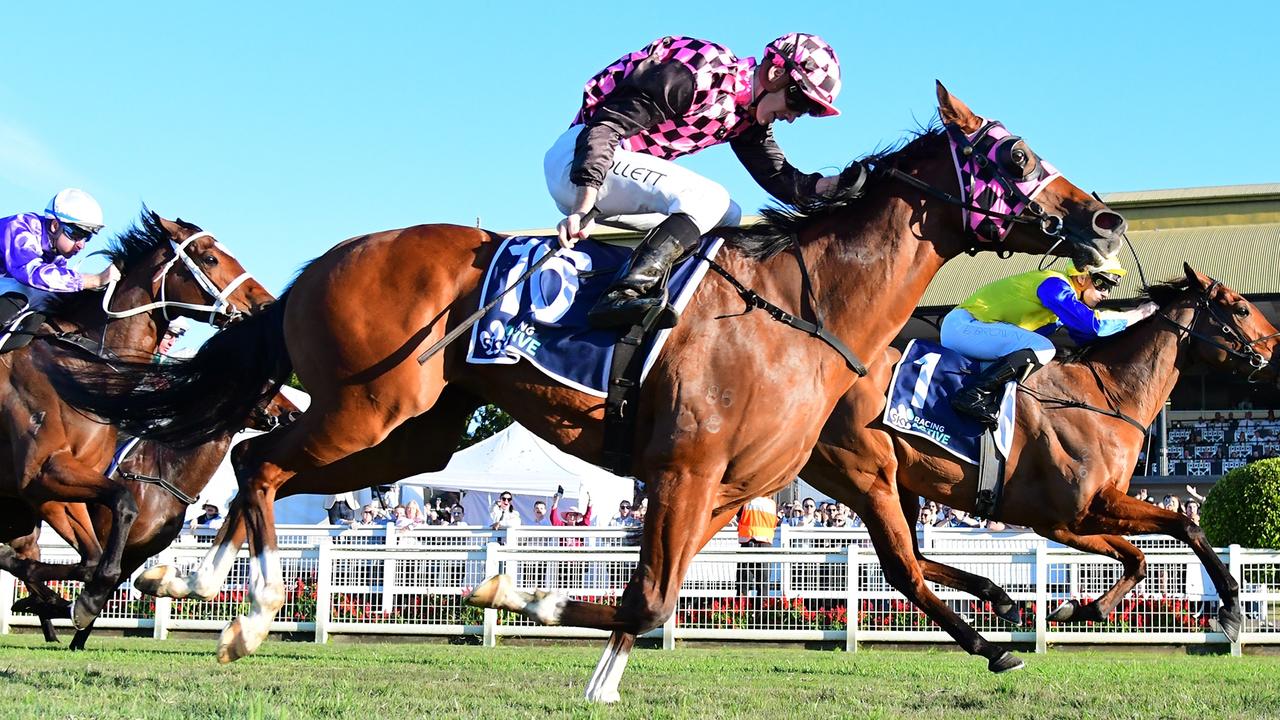 Smart Queensland mare Startantes looks a great chance at Rosehill on Saturday. Picture: Trackside Photography.