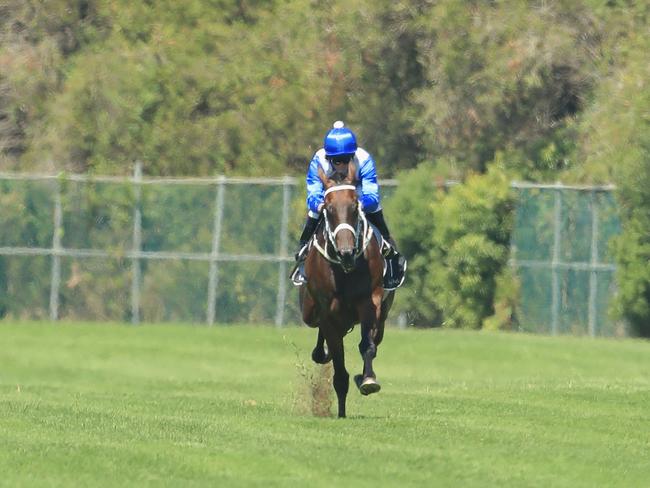 Kerrin McEvoy puts Winx throw her paces in a track gallop. Picture: Getty Images