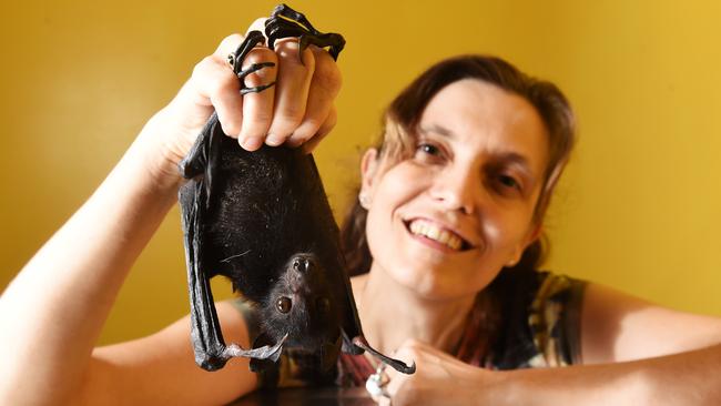 Wildlife carer Andrea Ruske, pictured with a Black Flying Fox, fell in love with Australian wildlife from the moment she came here. Picture: Supplied.