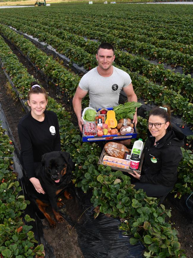 Allis (with dog Charlie B Bear) and Ryan Sherry with sister Megan Sherry, at Harvest the Fleurieu in Mt Compass with their produce boxes. Picture: Keryn Stevens