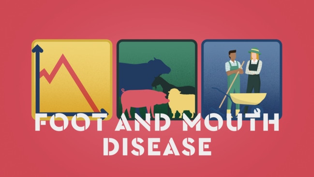 What would happen in a foot-and-mouth disease outbreak