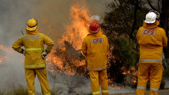 CFS firefighters monitor a fire on Kangaroo Island in January. Luke Bowd was among those who fought to save KI properties.