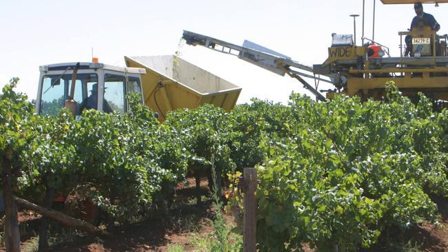 Australian wine producers could soon be slapped with Chinese anti-dumping tariffs.